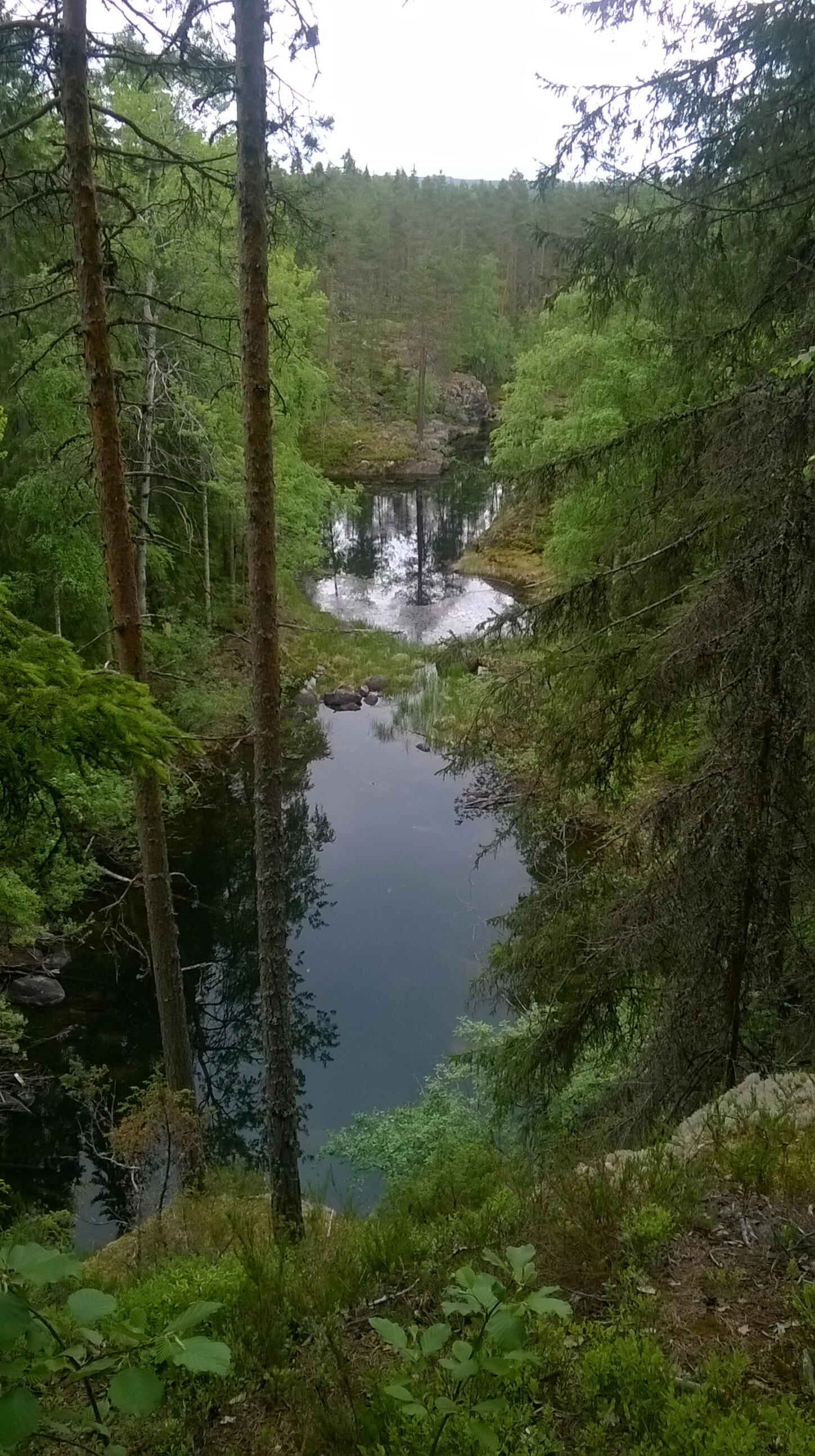 Julmat lammit, Saarijärvi