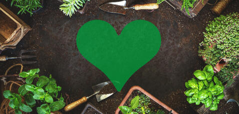 Vihreiden varapuheenjohtaja Jenni Pitko kuvattuna Jyväskylässä.